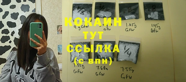 соль ск Балахна
