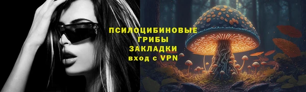 соль ск Балахна