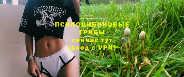 соль ск Балахна