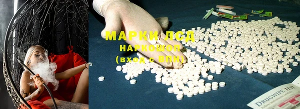 мяу мяу мука Баксан