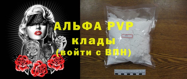 мяу мяу мука Баксан