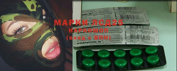 мяу мяу мука Баксан