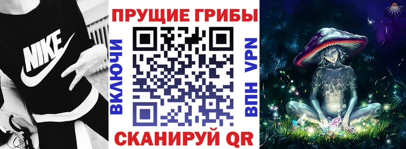 Галлюциногенные грибы прущие грибы  Купить закладки  Сланцы 